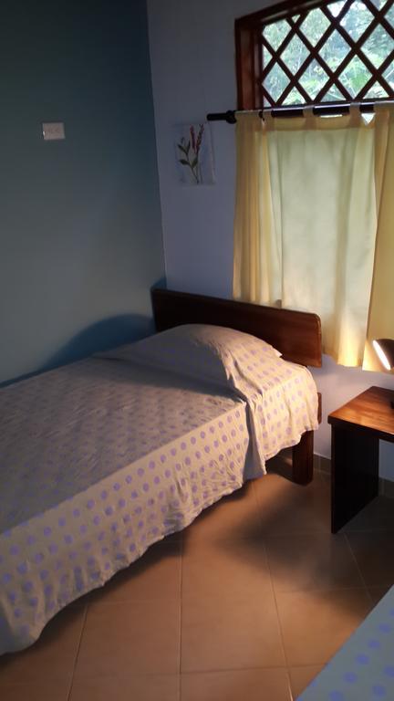 Los Delfines Lodge Puerto Viejo de Talamanca Pokój zdjęcie