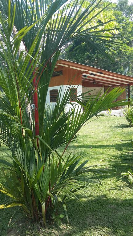 Los Delfines Lodge Puerto Viejo de Talamanca Pokój zdjęcie
