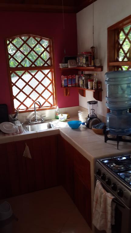 Los Delfines Lodge Puerto Viejo de Talamanca Pokój zdjęcie