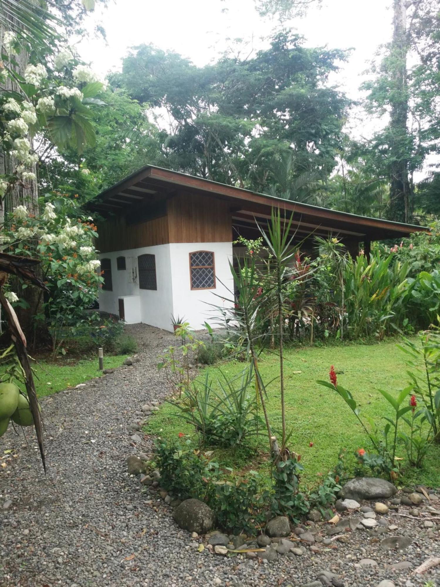 Los Delfines Lodge Puerto Viejo de Talamanca Zewnętrze zdjęcie