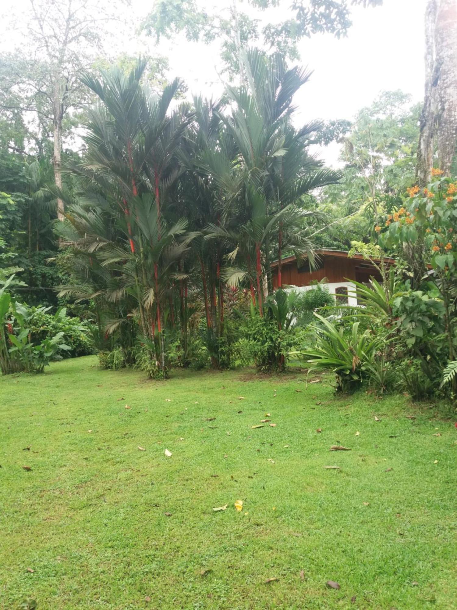 Los Delfines Lodge Puerto Viejo de Talamanca Zewnętrze zdjęcie